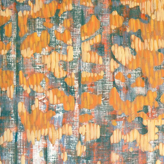 Pine Forest By The River