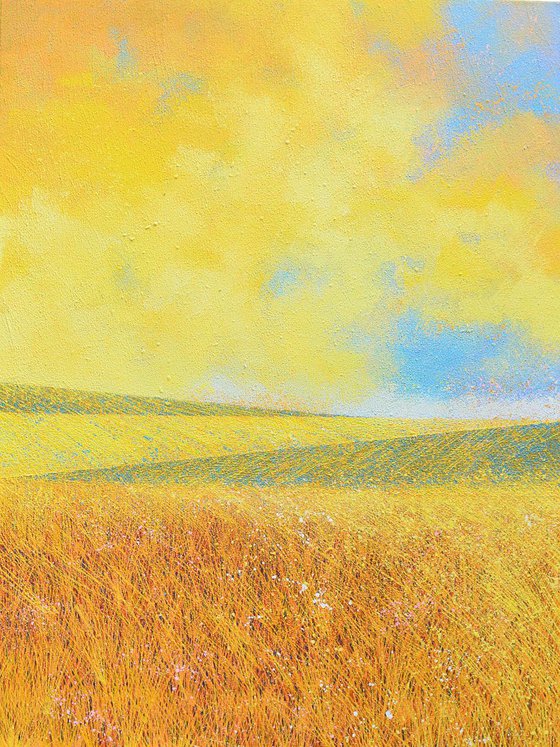 A Field Of Gold