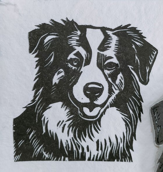 Border Collie Mini Print