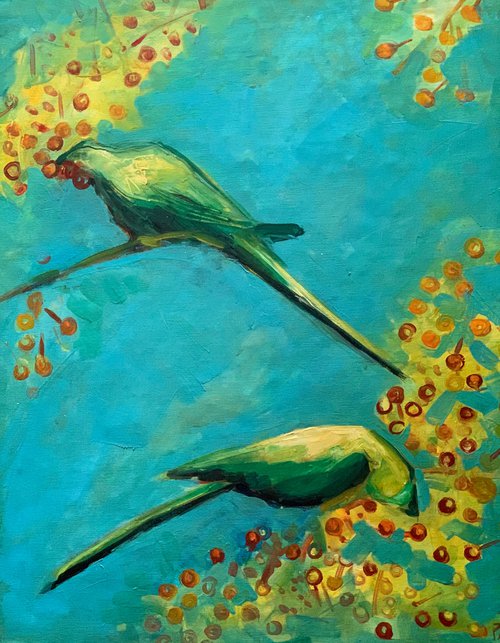 Parakeets by Olga Pascari