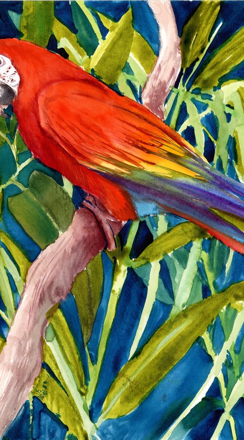 Scarlet MAcaw in the Jungle by Suren Nersisyan