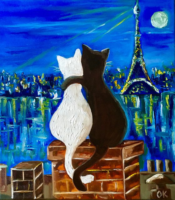 Cats in Paris. Travel to Paris, Parisian roofs , romantic night .