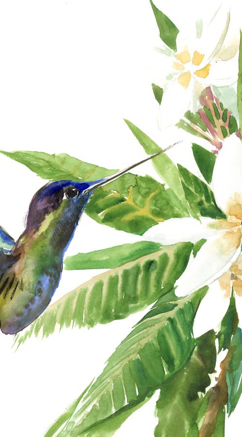 Hummingbird and Plumeria by Suren Nersisyan