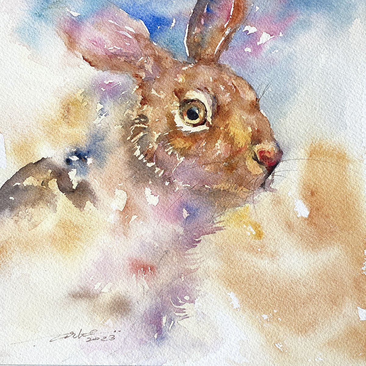 Miso the Hare by Arti Chauhan