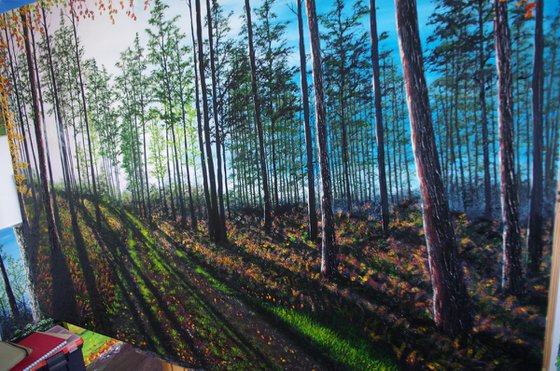 Startling Afternoon shadows.