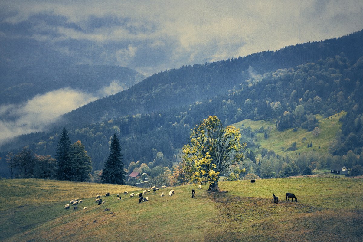 Photorealistic Landscape Photograph By Valerix, 30 X 20", Late Summer In The Mountains., Original Artwork