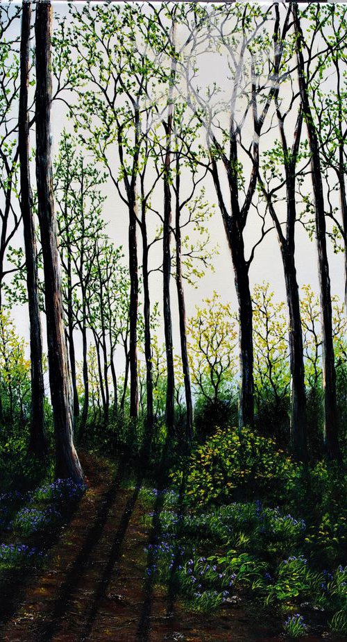 Magical Spring Light  92cm x 122cm by Hazel Thomson