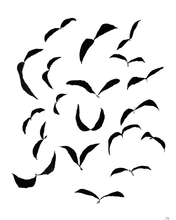 Birds