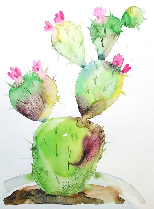 Cactus watercolor by Tanya Amos