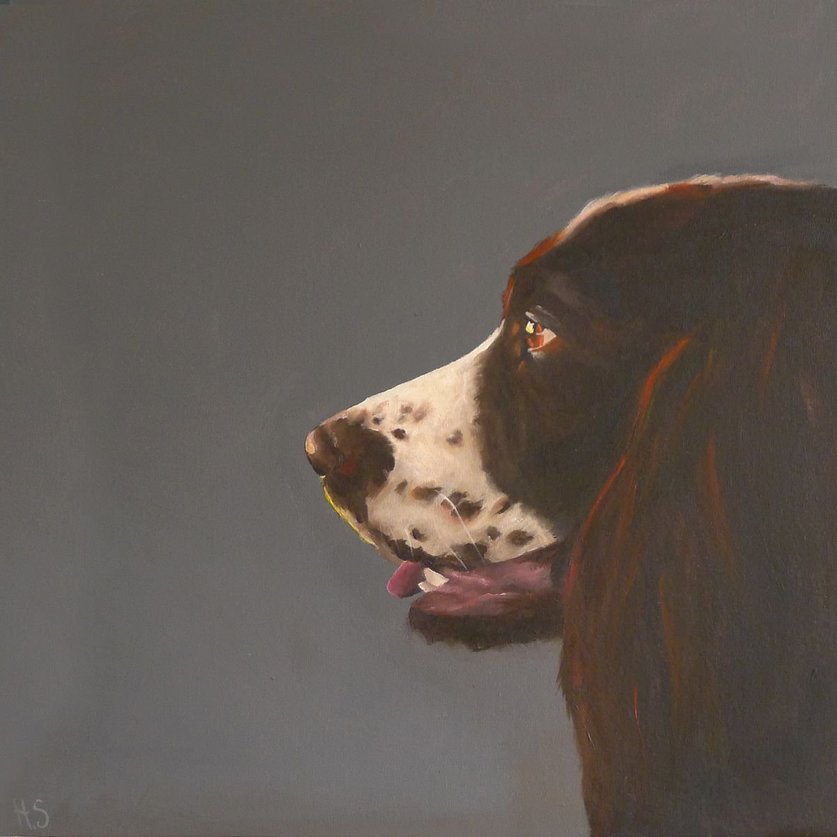 Betsy The Springer Spaniel By Helen Sinfield, 24 X 24, Artwork For Sale On Artfinder