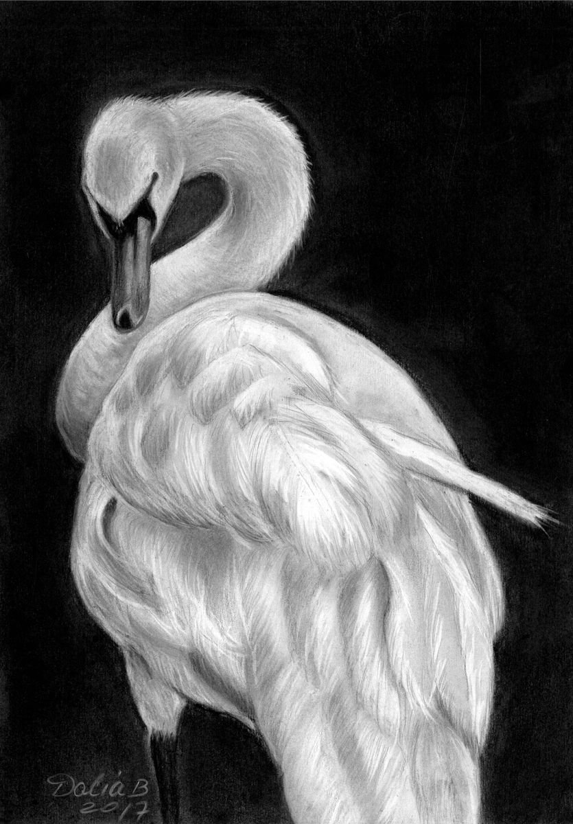 Swan (2017) Charcoal drawing by Dalia Binkiene | Artfinder