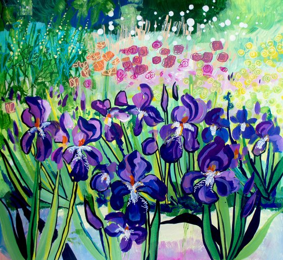 Iris Border