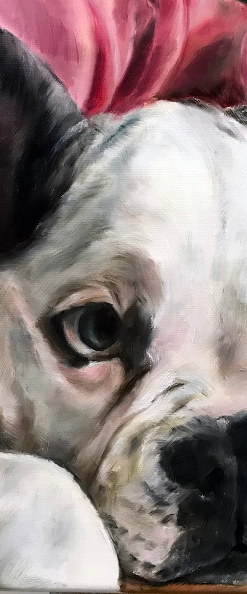 Oil portrait of pet "March" 30 * 30 cm by Irina Ivlieva