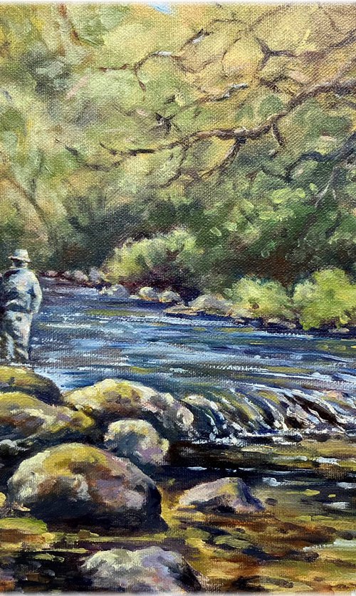 East Dart River, Dartmoor by Peter Frost