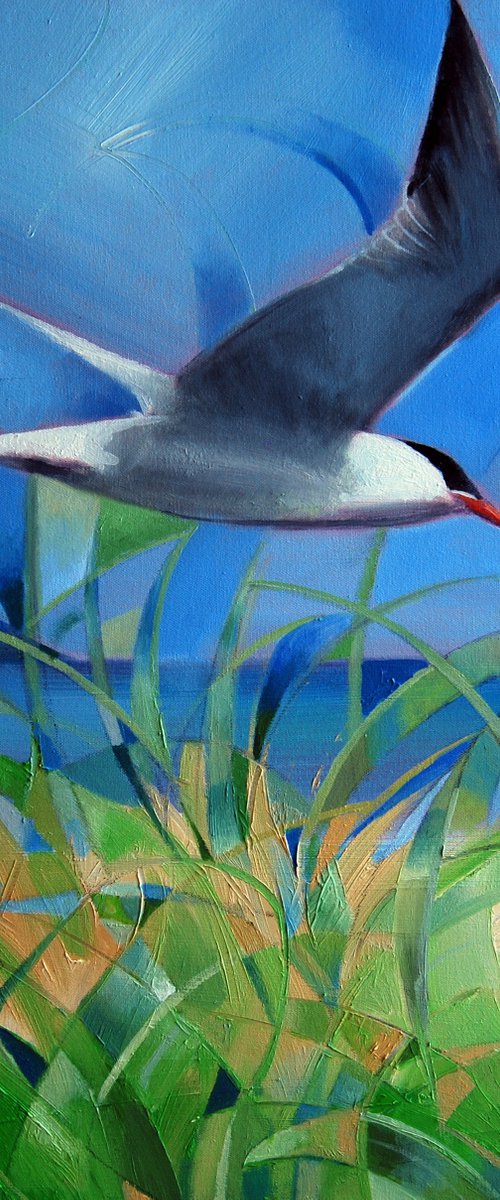 Not so common tern by Trevor Salisbury