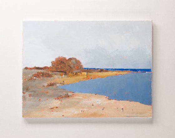 Seacoast 13