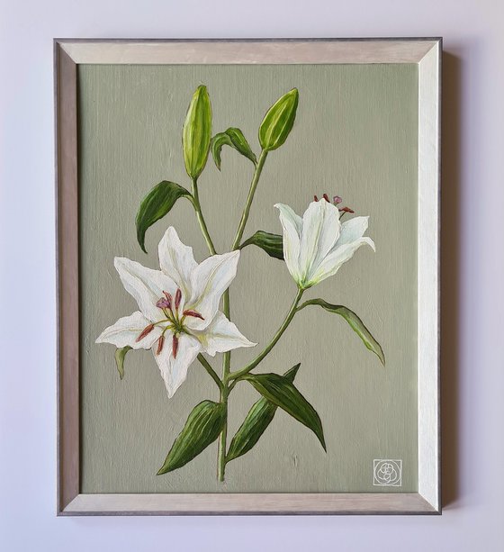 Oriental Lily Study 2