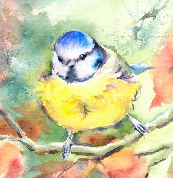 Blue tit amongst autumn foliage, an original watercolour painting