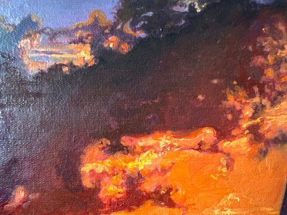 Through the Flames of Sunset