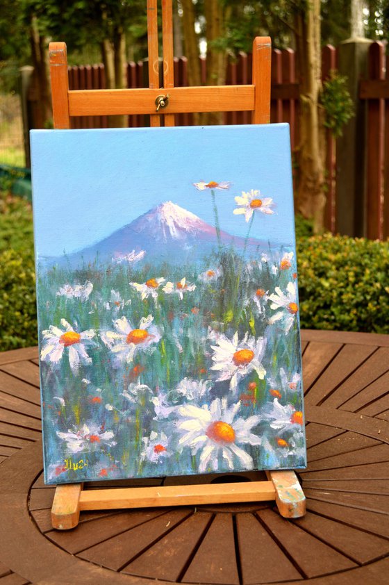 Japanese meadow daisies 40X30