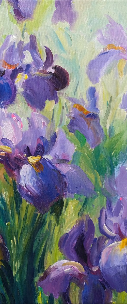 Irises by Behshad Arjomandi