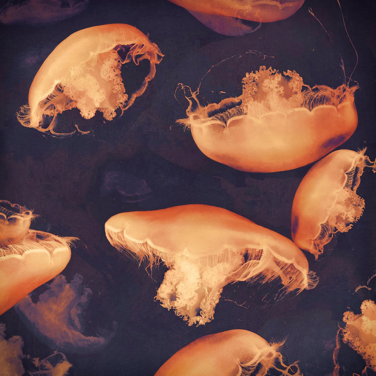 Impressionistic Landscape Photograph By Nadia Attura, 35 X 35", Monterey Seas, Original Artwork