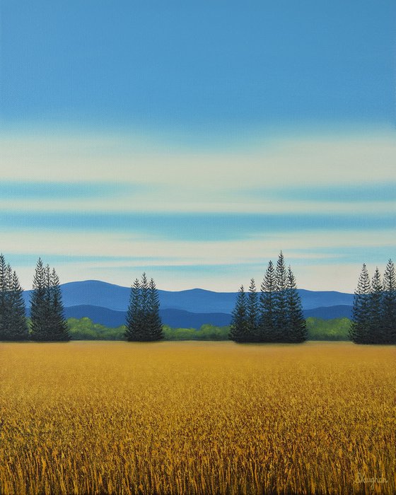 Gold Meadow - Blue Sky Landscape