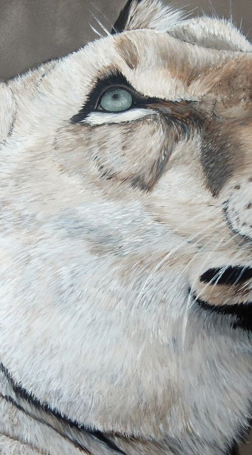 looking up by bente jepsen