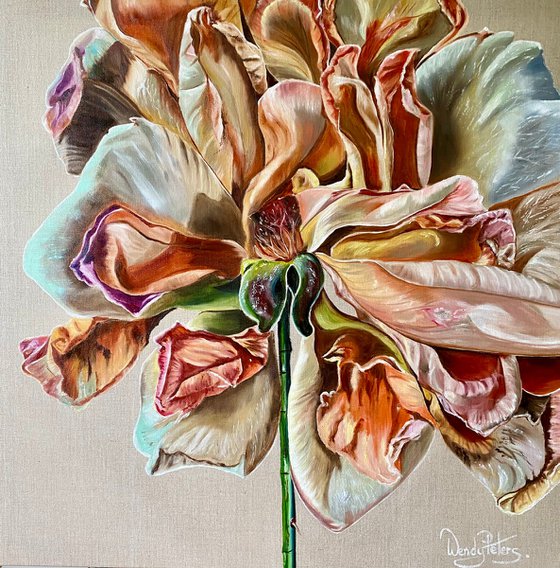 Baroque Rose