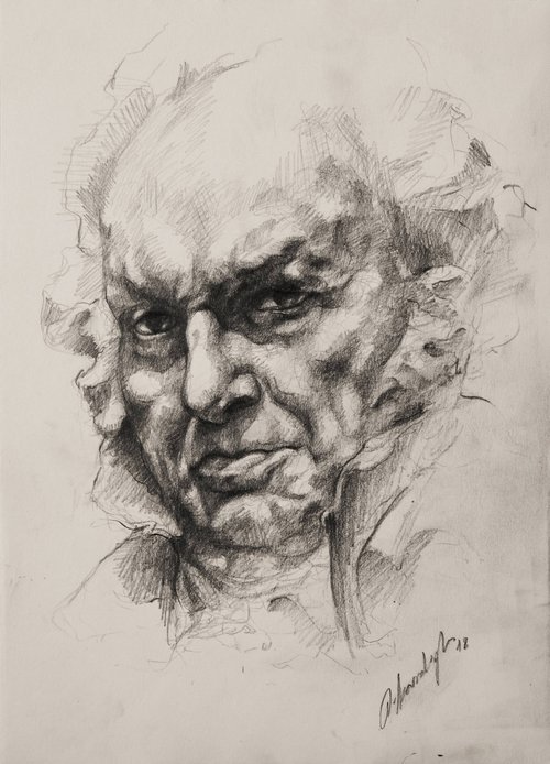 Portrait of Francisco Goya by Onur Karaalioğlu