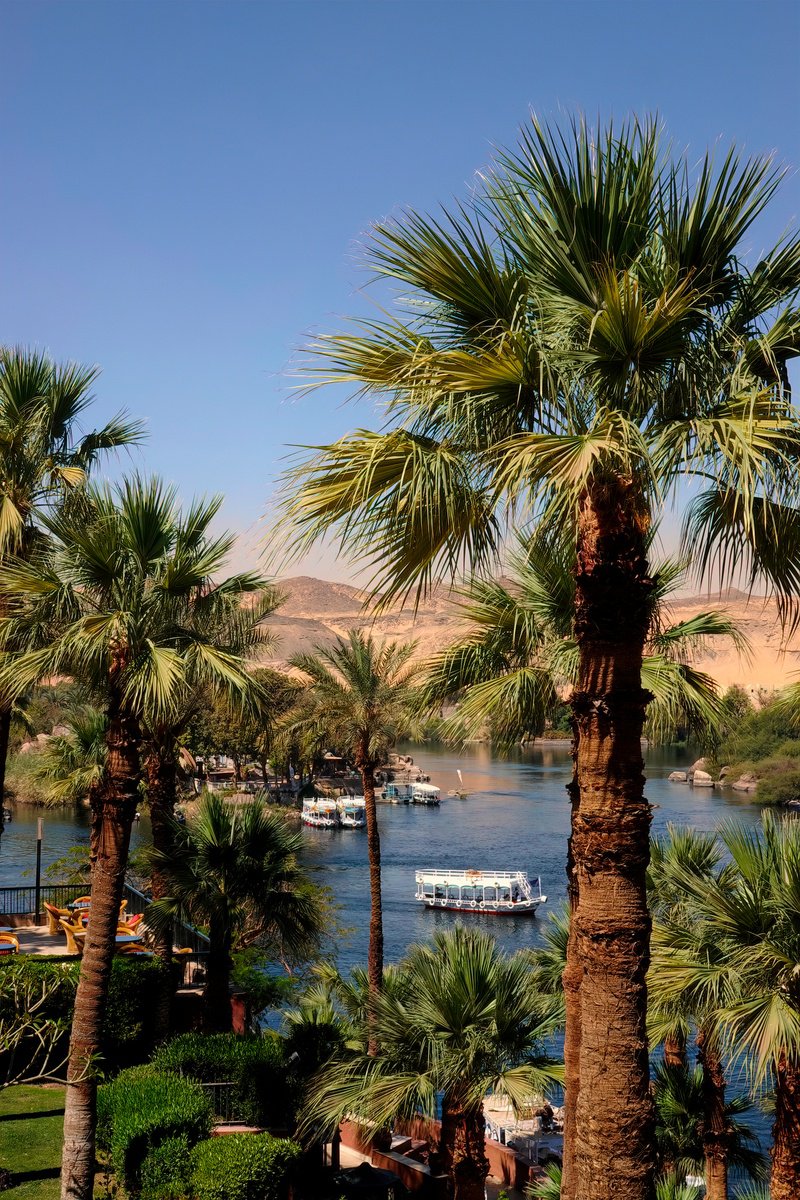 Photorealistic Landscape Photograph By Martin Fry, 21 X 15", View Of The Nile, Original Artwork