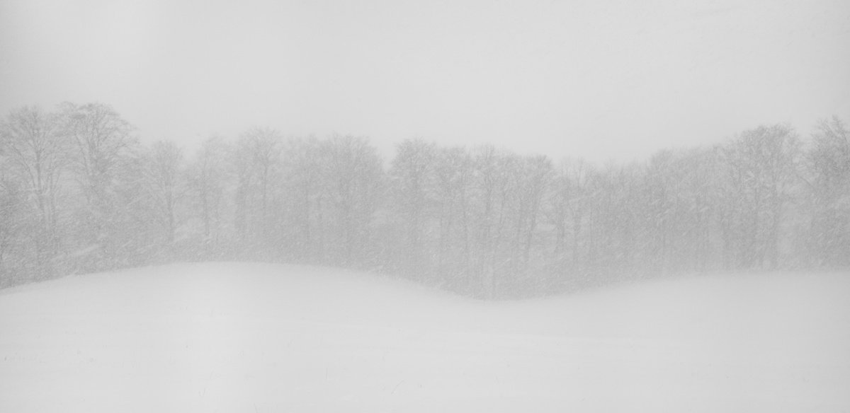 Snow storm by V Sebastian