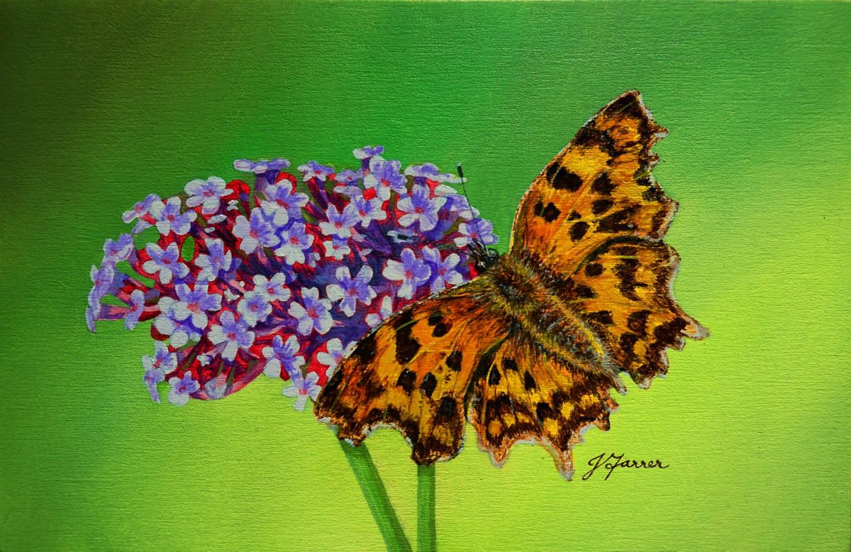 Comma on Verbena 7.5x5inch PS100 by Jayne Farrer