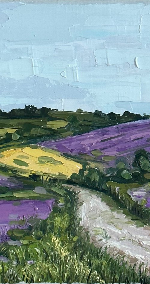 Provence Original Oil Painting Lavender Field  22x28cm by Leysan Khasanova