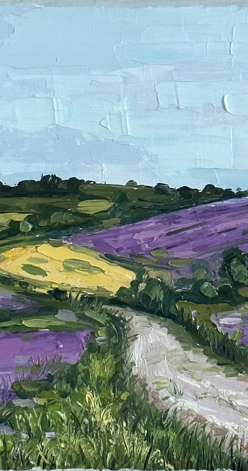 Provence Original Oil Painting Lavender Field 22x28cm by Leysan Khasanova