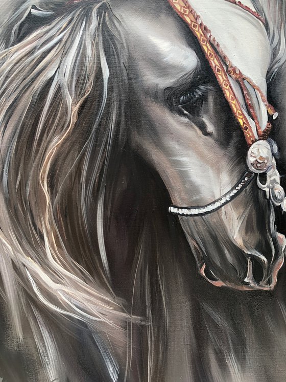 «BEAUTIFUL HORSE»