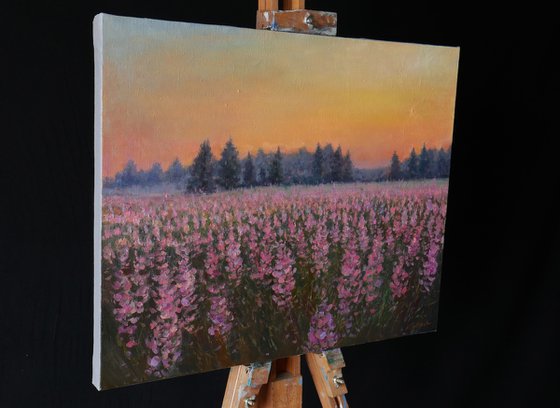 Sunset Over The Purple Flowers