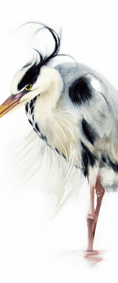 Grey heron -  19 x 25 in (50 x by Olga Beliaeva Watercolour