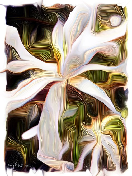 White flower - an abstract photo-impressionist artwork by Tony Roberts