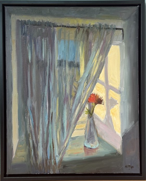 Rose by the window