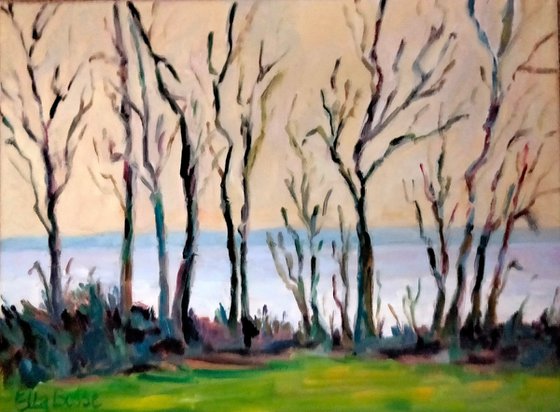 Trees by the lake