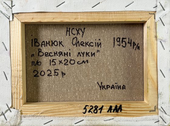 Spring on the meadows