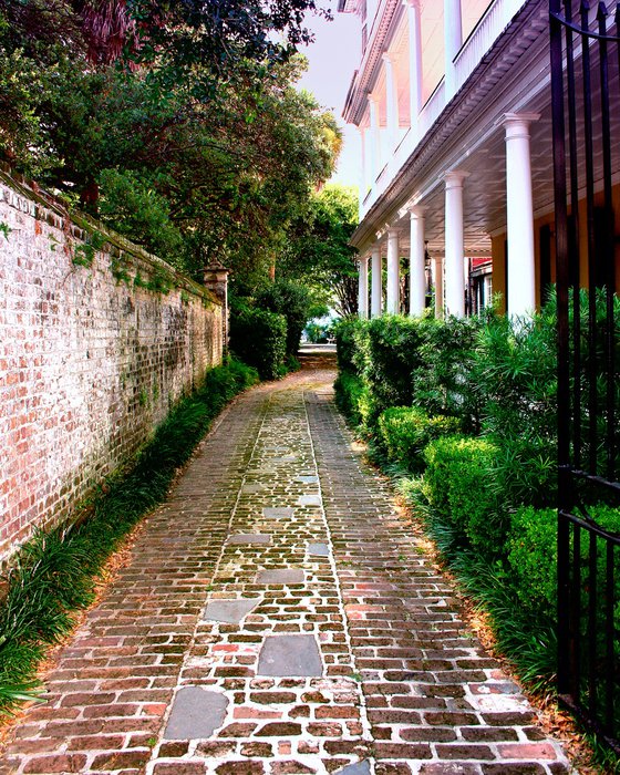 EARLY MORNING WALK Charleston