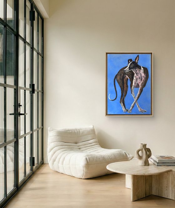 Dogs Portrait Soft Pastel Galgo español