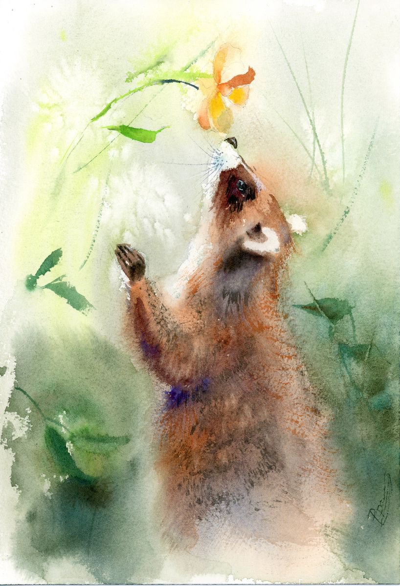 Raccoon smelling flower
