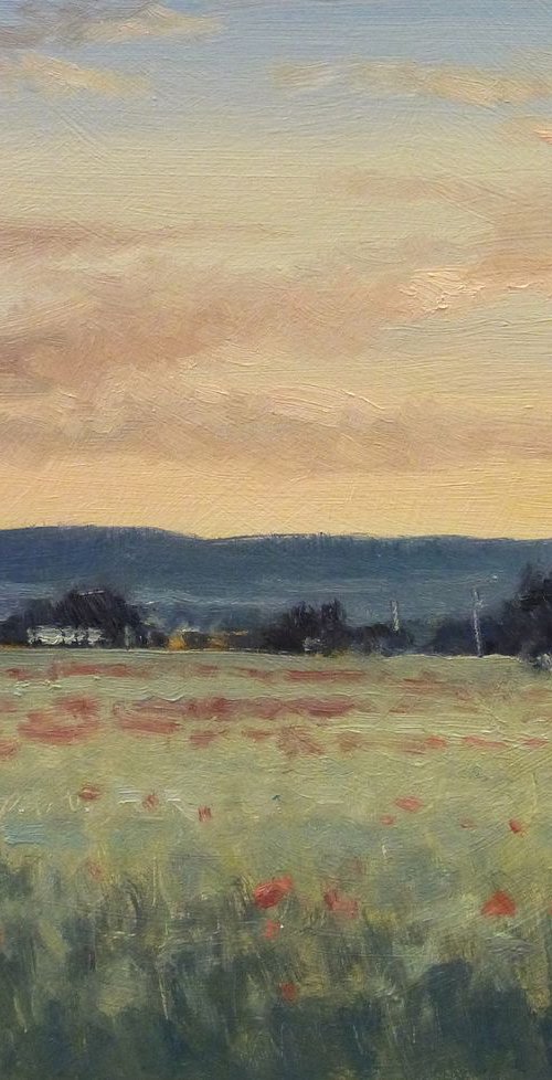 Poppy Fields in the early morning by Pascal Giroud