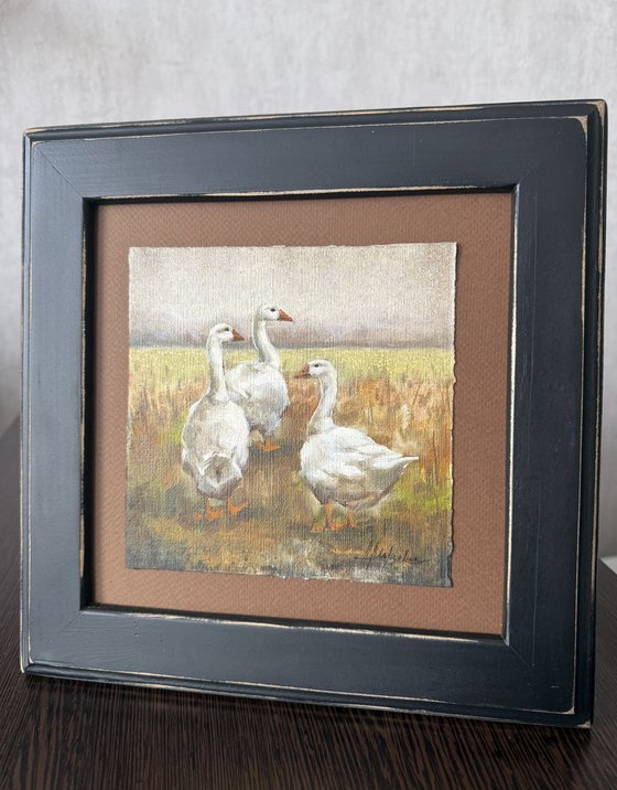 Geese