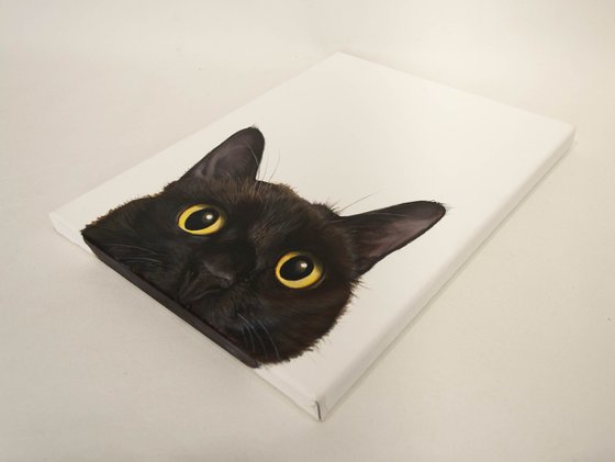 "Curious Eyes | Black Cat Hyperrealism"