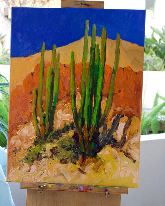Bright Summer Day. Cactuses in the Desert.