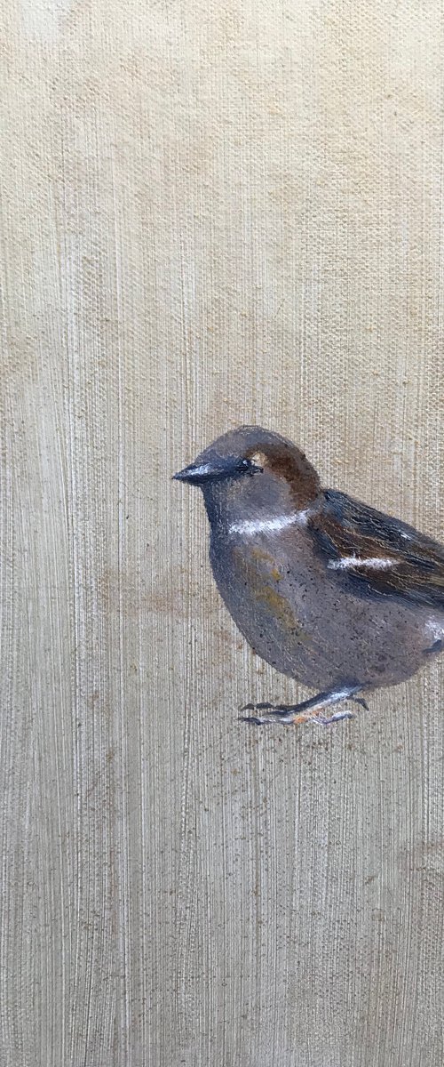 A Little Bird Told Me... (Old World Sparrow) by Laure Bury